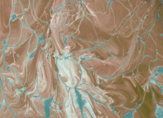 Millie Bobby Brown: Life Story, Career Highlights, and Full Biography Millie Bobby Brown: Life Story, Career Highlights, and Full Biography