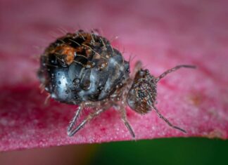 Molly Eskam OnlyFans Leaks: What We Know and What’s Going Viral Molly Eskam OnlyFans Leaks: What We Know and What’s Going Viral