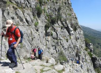 Nala Fitness OnlyFans Leaks: What We Know and What’s Going Viral Nala Fitness OnlyFans Leaks: What We Know and What’s Going Viral