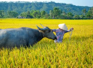 Nami Mommy OnlyFans Leaks: What We Know and What’s Going Viral Nami Mommy OnlyFans Leaks: What We Know and What’s Going Viral