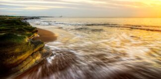  Naomi Watts Nude Scenes: Her Boldest Film Moments Reviewed # Naomi Watts Nude Scenes: Her Boldest Film Moments Reviewed