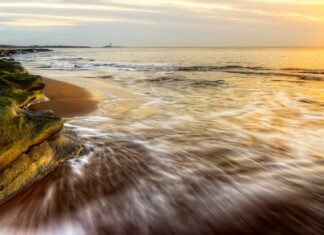 Naomi Watts Nude Scenes: Her Boldest Film Moments Reviewed # Naomi Watts Nude Scenes: Her Boldest Film Moments Reviewed Naomi Watts Nude Scenes: Her Boldest Film Moments Reviewed # Naomi Watts Nude Scenes: Her Boldest Film Moments Reviewed