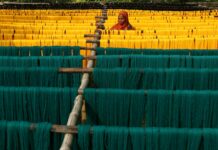 Natalia Dyer: Life Story, Career Highlights, and Full Biography