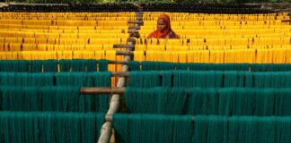 Natalia Dyer: Life Story, Career Highlights, and Full Biography