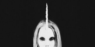 Niall Horan: Life Story, Career Highlights, and Full Biography