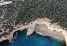 Niamh Algar: Life Story, Career Highlights, and Full Biography