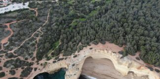 Niamh Algar: Life Story, Career Highlights, and Full Biography