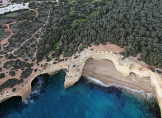 Niamh Algar: Life Story, Career Highlights, and Full Biography Niamh Algar: Life Story, Career Highlights, and Full Biography