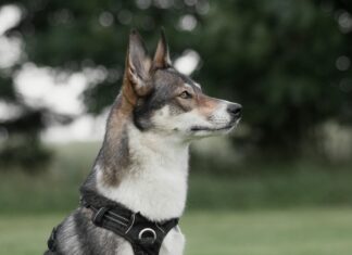 Nick Jonas: Life Story, Career Highlights, and Full Biography Nick Jonas: Life Story, Career Highlights, and Full Biography