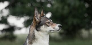 Nicki Minaj: Life Story, Career Highlights, and Full Biography