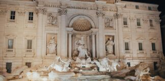 Nicola Peltz: Life Story, Career Highlights, and Full Biography