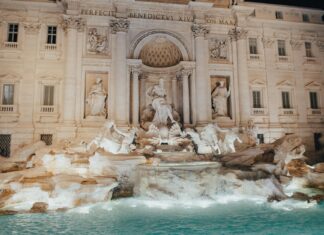 Nicola Peltz: Life Story, Career Highlights, and Full Biography Nicola Peltz: Life Story, Career Highlights, and Full Biography