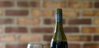 Nika McGuigan: Life Story, Career Highlights, and Full Biography