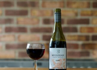 Nika McGuigan: Life Story, Career Highlights, and Full Biography Nika McGuigan: Life Story, Career Highlights, and Full Biography