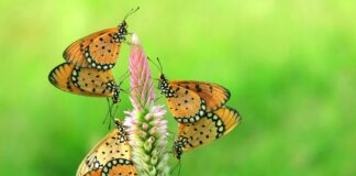 Nikolaj Coster-Waldau: Life Story, Career Highlights, and Full Biography