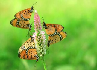 Nikolaj Coster-Waldau: Life Story, Career Highlights, and Full Biography Nikolaj Coster-Waldau: Life Story, Career Highlights, and Full Biography