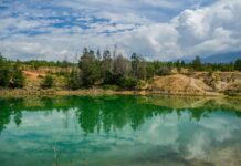 Noelle Leyva OnlyFans Leaks: What We Know and What’s Going Viral