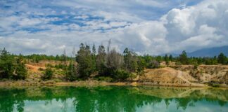 Noelle Leyva OnlyFans Leaks: What We Know and What’s Going Viral