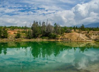 Noelle Leyva OnlyFans Leaks: What We Know and What’s Going Viral Noelle Leyva OnlyFans Leaks: What We Know and What’s Going Viral