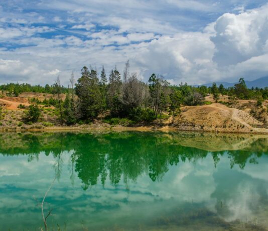 Noelle Leyva OnlyFans Leaks: What We Know and What’s Going Viral Noelle Leyva OnlyFans Leaks: What We Know and What’s Going Viral