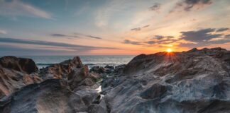 Novak Djokovic: Life Story, Career Highlights, and Full Biography