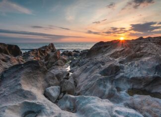 Novak Djokovic: Life Story, Career Highlights, and Full Biography Novak Djokovic: Life Story, Career Highlights, and Full Biography