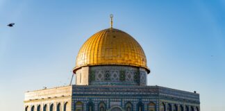 Omar Sharif: Life Story, Career Highlights, and Full Biography