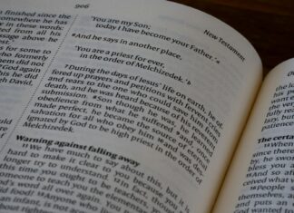 Paige Niemann OnlyFans Leaks: What We Know and What’s Going Viral Paige Niemann OnlyFans Leaks: What We Know and What’s Going Viral