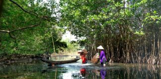 Pam Grier Nude Roles That Shaped Cinema History