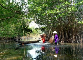 Pam Grier Nude Roles That Shaped Cinema History Pam Grier Nude Roles That Shaped Cinema History