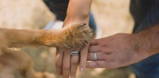 Pawg Champ OnlyFans Leaks: What We Know and What’s Going Viral