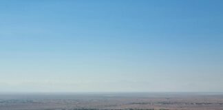 Pedro Pascal: Life Story, Career Highlights, and Full Biography