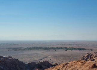 Pedro Pascal: Life Story, Career Highlights, and Full Biography Pedro Pascal: Life Story, Career Highlights, and Full Biography