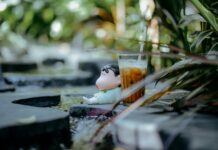 Pero Drink Benefits: Why This Coffee Alternative Is Gaining Fans Fast Pero Drink Benefits: Why This Coffee Alternative Is Gaining Fans Fast