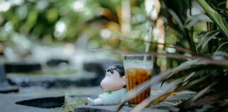 Pero Drink Benefits: Why This Coffee Alternative Is Gaining Fans Fast