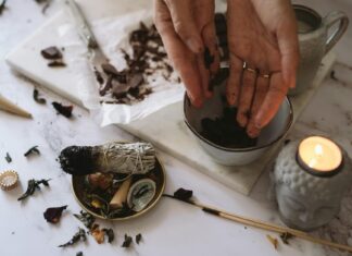 Pure Leaf Tea Ranked: Which Flavors Are Worth Your Sip? Pure Leaf Tea Ranked: Which Flavors Are Worth Your Sip?