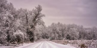 Rachel Weaver OnlyFans Leaks: What We Know and What’s Going Viral Rachel Weaver OnlyFans Leaks: What We Know and What’s Going Viral