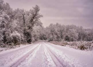 Rachel Weaver OnlyFans Leaks: What We Know and What’s Going Viral Rachel Weaver OnlyFans Leaks: What We Know and What’s Going Viral