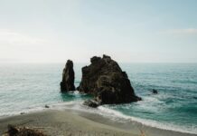 Sand Dabs Fish Guide: Cooking Tips And Where To Find Them Sand Dabs Fish Guide: Cooking Tips And Where To Find Them