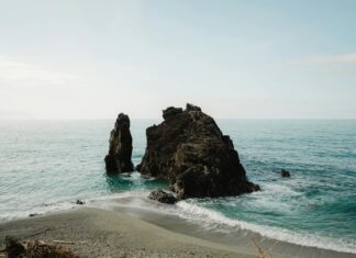 Sand Dabs Fish Guide: Cooking Tips And Where To Find Them Sand Dabs Fish Guide: Cooking Tips And Where To Find Them