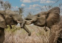 Savannah Bond OnlyFans Leaks: What We Know and What’s Going Viral Savannah Bond OnlyFans Leaks: What We Know and What’s Going Viral