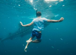 Shark.Bae OnlyFans Leaks: What We Know and What’s Going Viral Shark.Bae OnlyFans Leaks: What We Know and What’s Going Viral