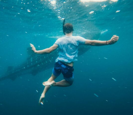 Shark.Bae OnlyFans Leaks: What We Know and What’s Going Viral