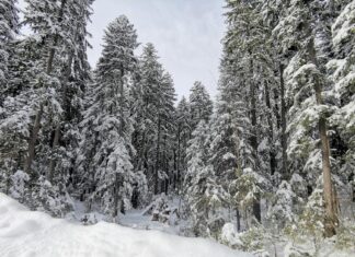 Sofia Bevarly OnlyFans Leaks: What We Know and What’s Going Viral Sofia Bevarly OnlyFans Leaks: What We Know and What’s Going Viral