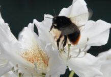 Spelling Bee Answers Today: Discover The Latest Words You Missed Spelling Bee Answers Today: Discover The Latest Words You Missed