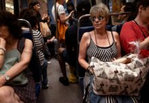 State Bags Review: Are These Stylish Carriers Worth The Price?