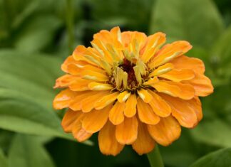 Steve Napolitano Profile: What You Should Know About This Public Figure Steve Napolitano Profile: What You Should Know About This Public Figure