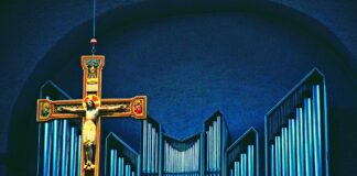 Traci Lords Nude Career Breakdown: From Controversy To Cult Status Traci Lords Nude Career Breakdown: From Controversy To Cult Status