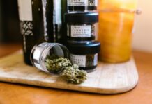 Weed California Travel Guide: Best Spots To Explore And Chill Weed California Travel Guide: Best Spots To Explore And Chill