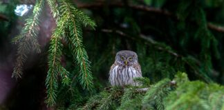 White Claw Secrets: What You Didn’t Know About This Viral Drink White Claw Secrets: What You Didn't Know About This Viral Drink